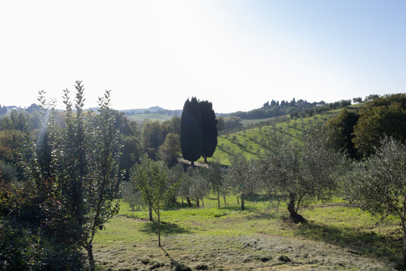 Healing Sessions Yoga Retreat in Tuscany, Italy