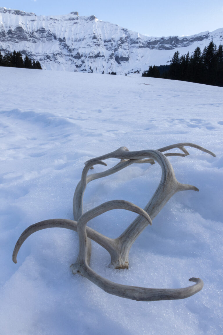 Winter Magic in Megève, France