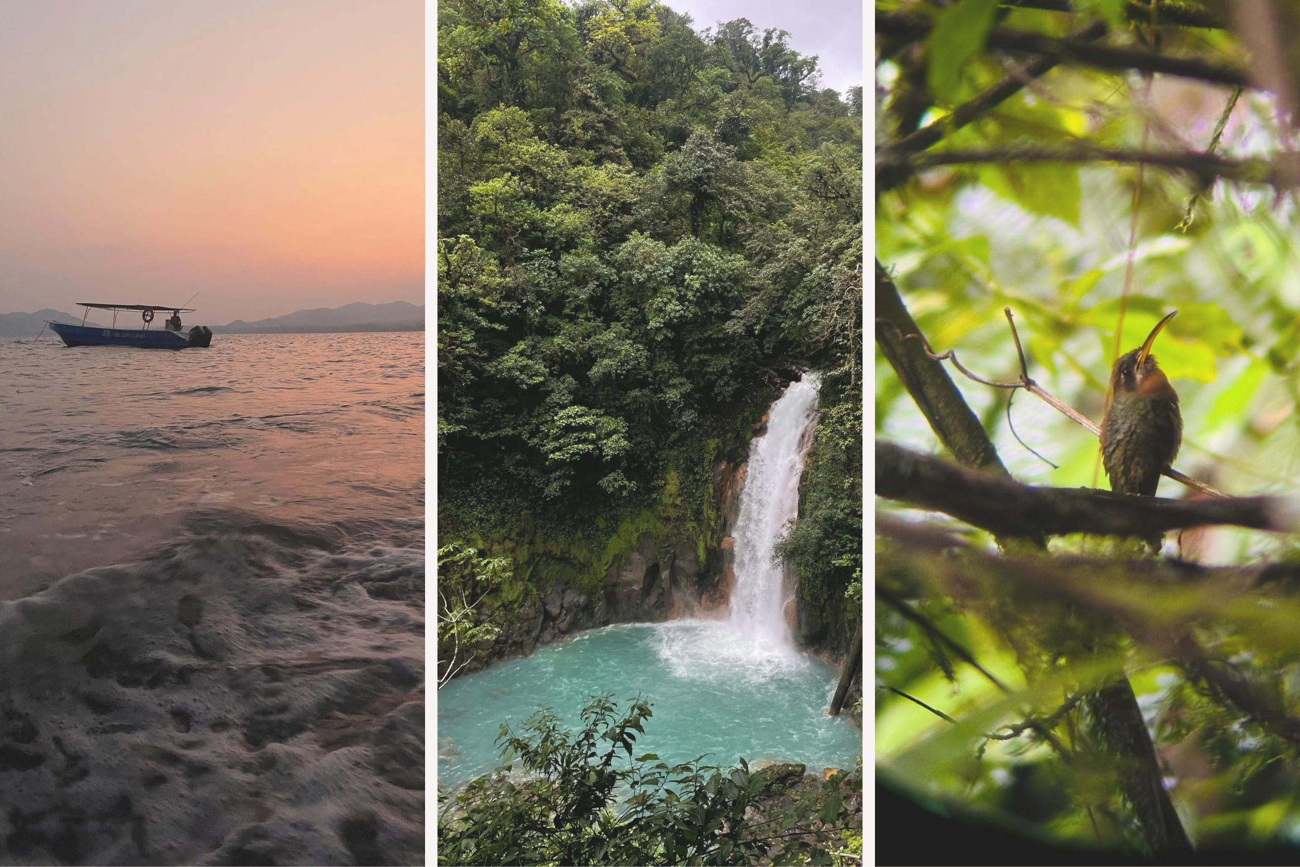 Exploring Costa Rica: A Beginner’s Road Trip Adventure