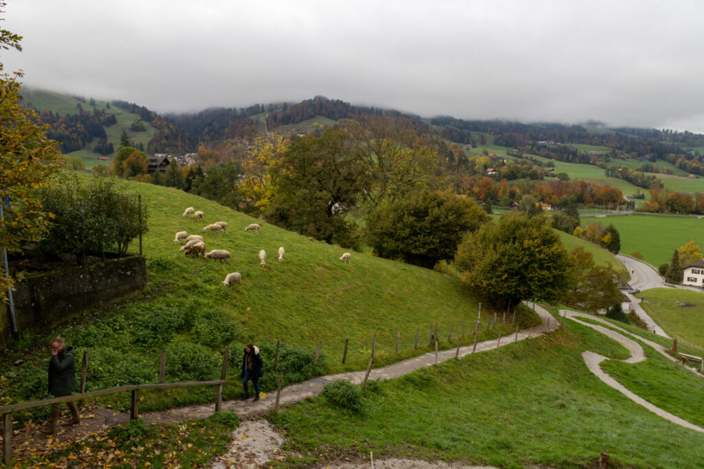 Gruyeres