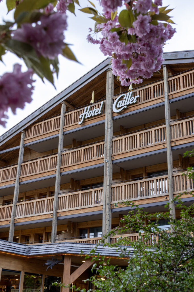 Gruyeres Switzerland hotels