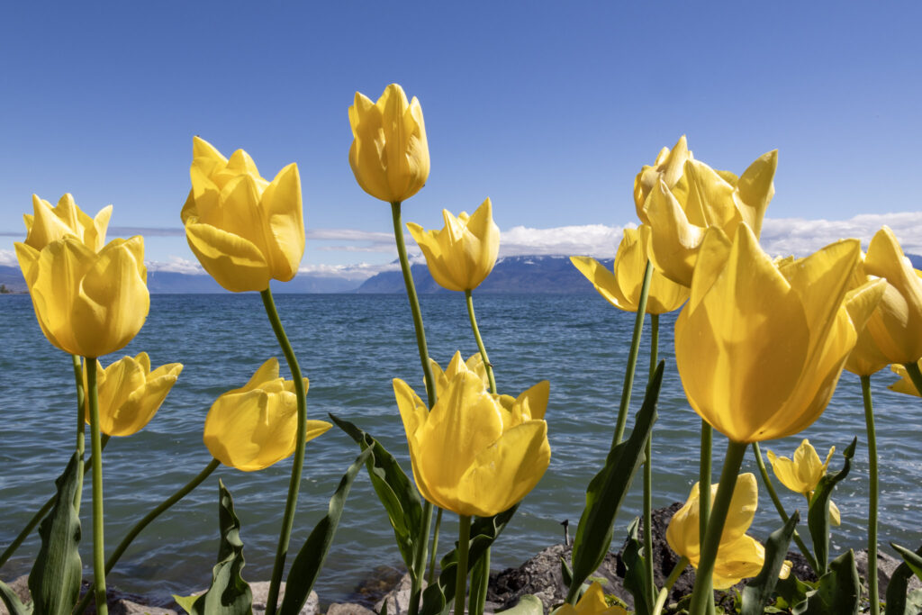 Day trips near Lake Geneva