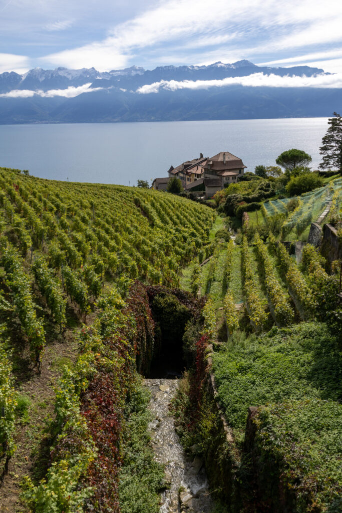 French-Swiss border towns