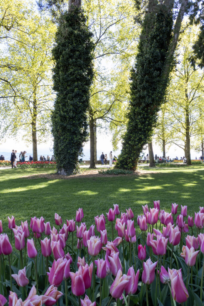 Hidden gem day trips from Geneva