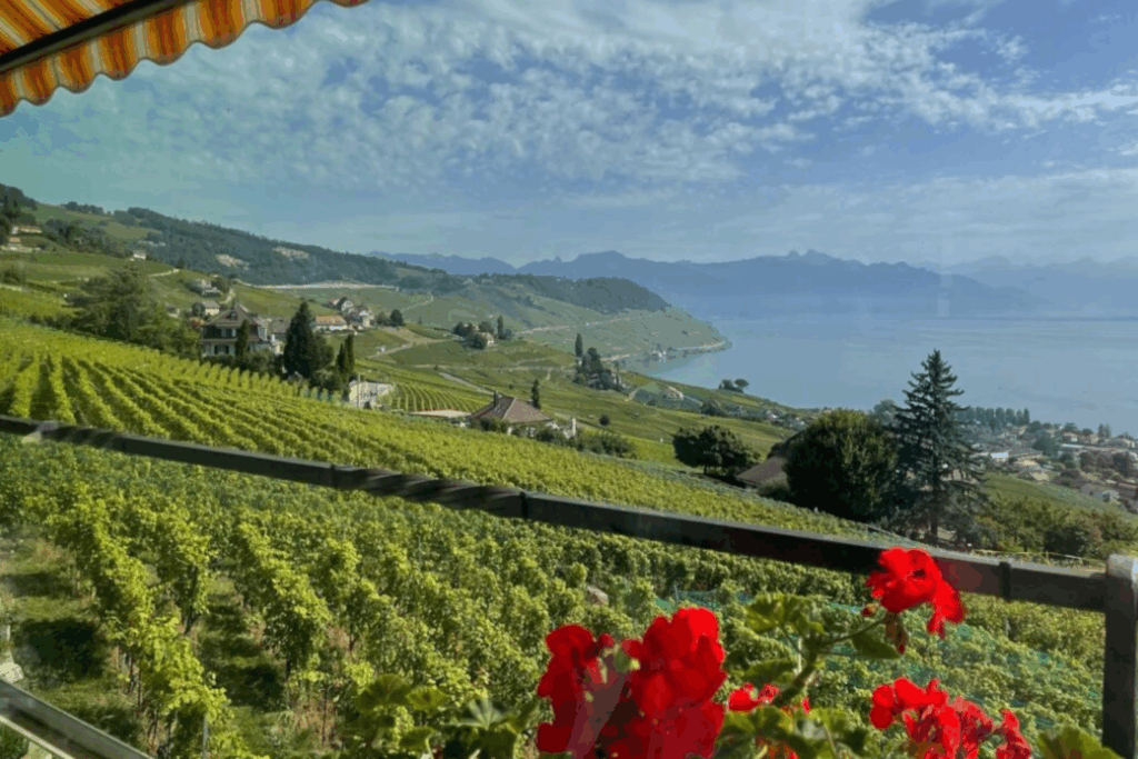 Things to do near Geneva