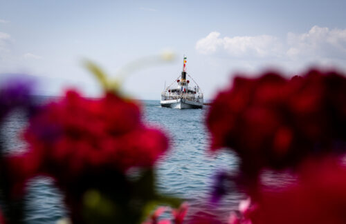 Montreux Jazz Festival contact