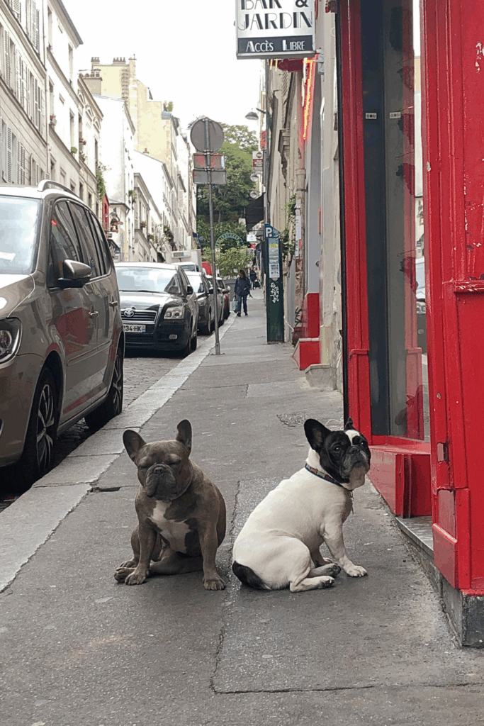 What to do in Montmartre