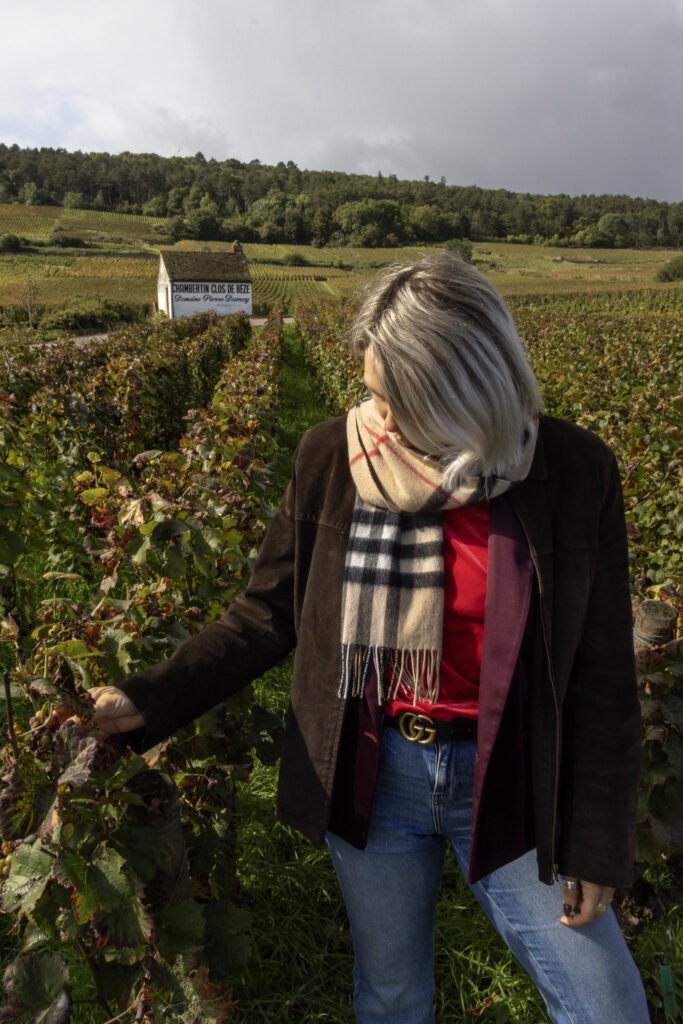 Burgundy wine regions