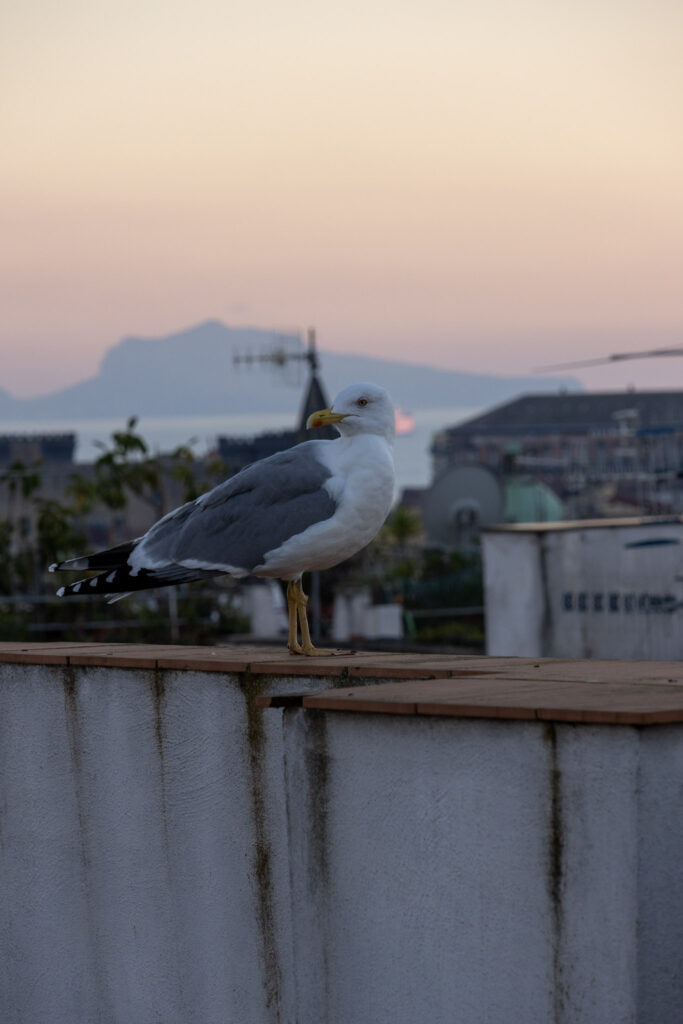 Naples Italy things to do