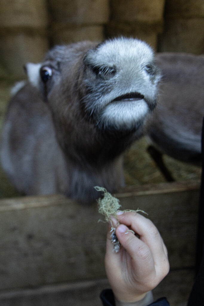 Christmas in Switzerland holidays