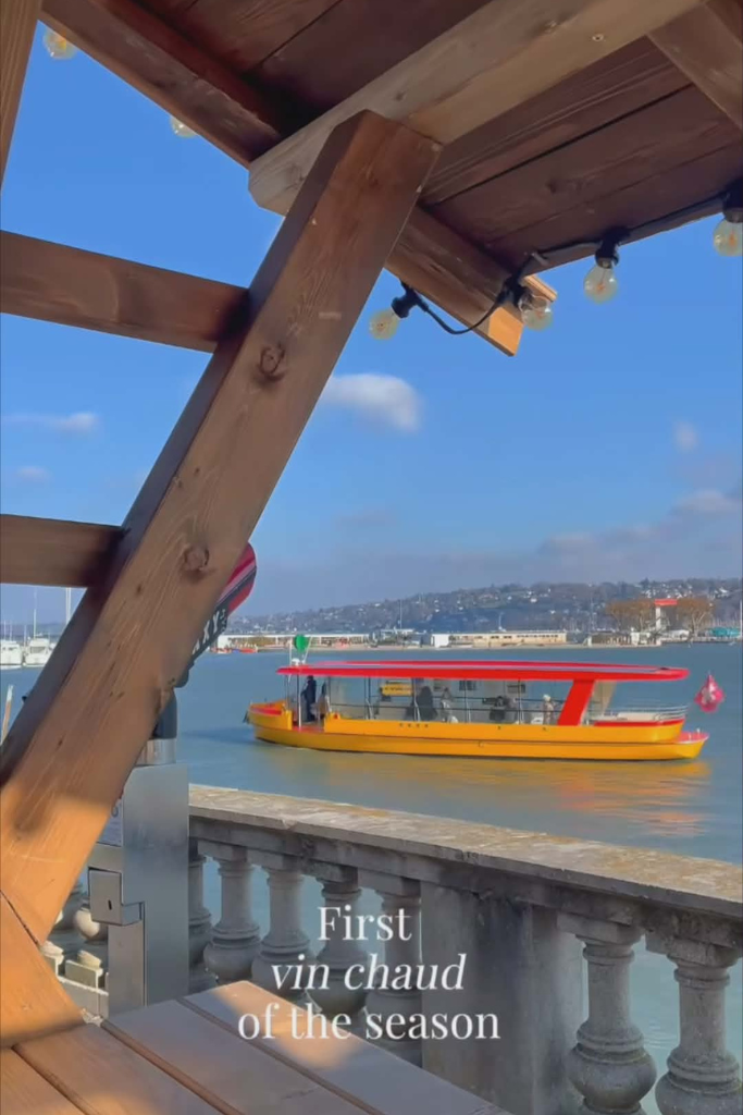 Les mouettes de Geneve