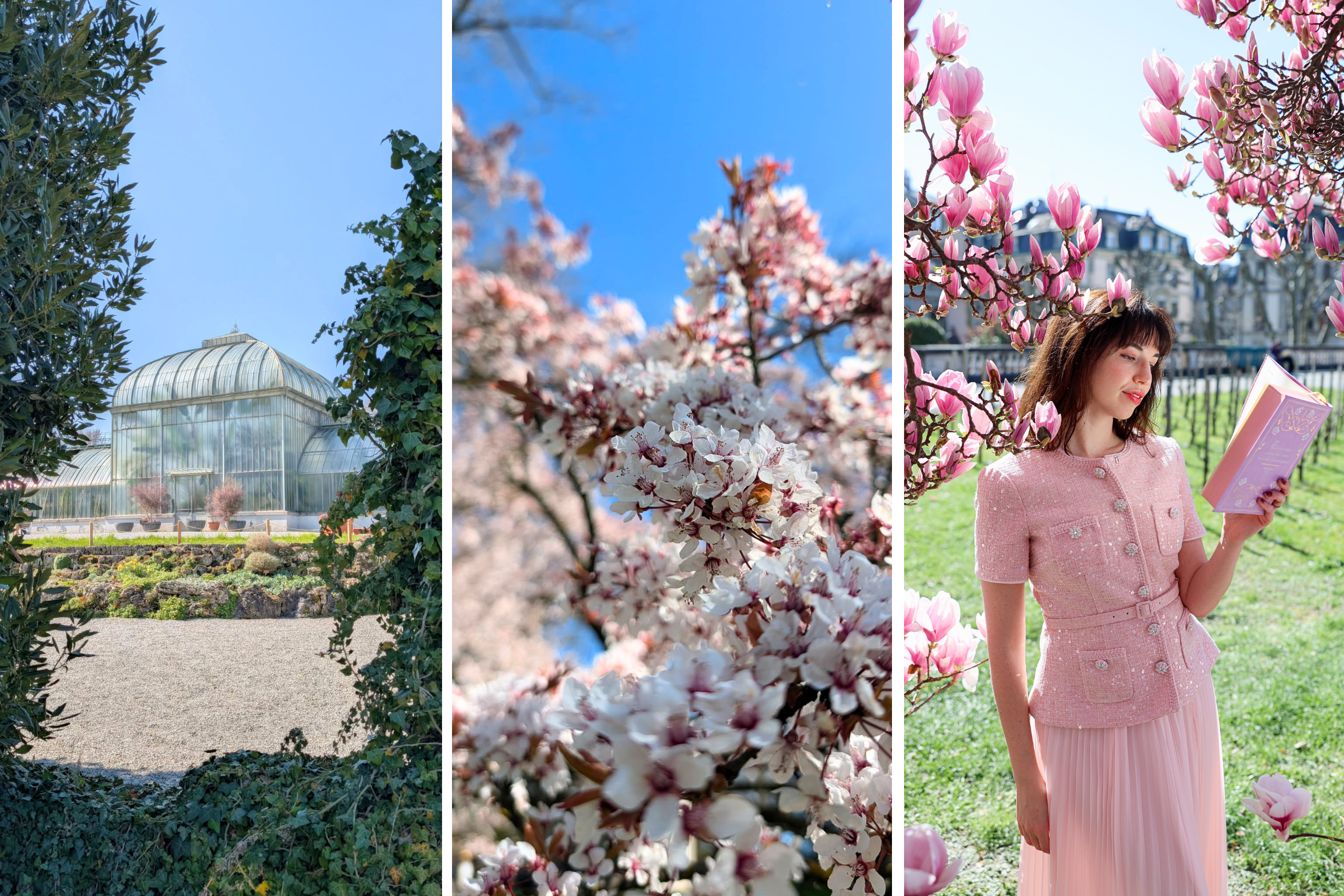 Spring in Geneva: The best spots to wake up and smell the flowers